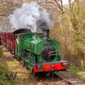 Steam Railway