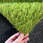 Artificial Grass