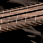 Bass Strings