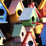 Bird Houses