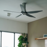 Ceiling Fans