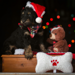 Christmas Pet Toys