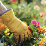 Garden Gloves, Hats & Clothing