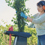 Garden Shredder