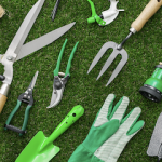 Garden Tools & Accessories