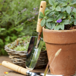 Outdoor Plant Pots & Planters