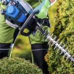 Petrol Hedge Trimmer