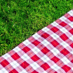 Picnic Blanket