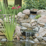 Ponds & Water Features