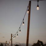 String & Festoon Lights