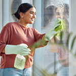 Windows & Glass Cleaner