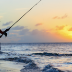 Sea & Beach Fishing