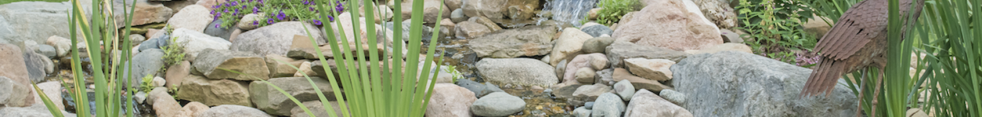 Ponds & Water Features