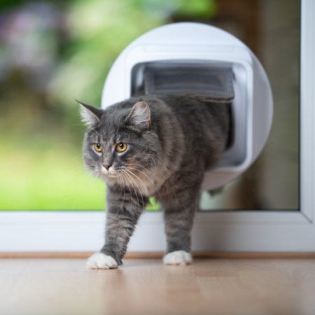 Cat Door Flaps