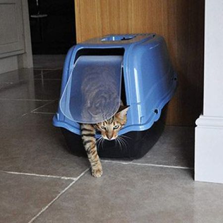 Cat Litter, Trays & Loos