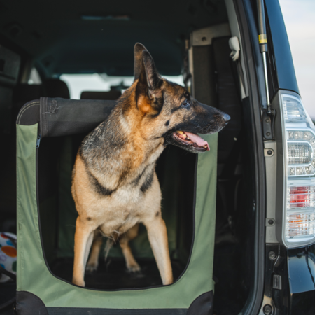 Dog Crates, Carriers & Travel Accessories