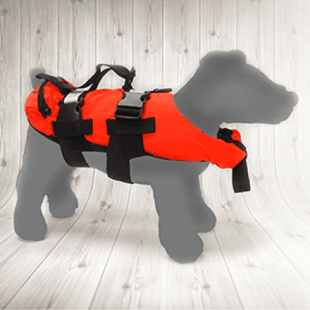 Dog Clothing & Accessories