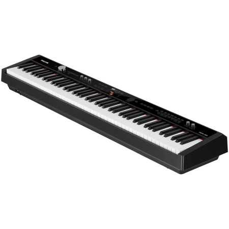 NPK-20 Professional Digital Piano