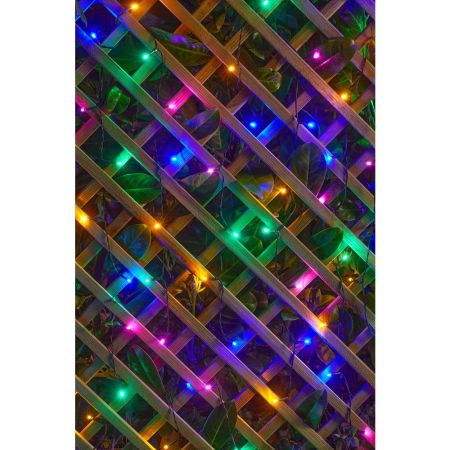 100 Multi Coloured String Lights