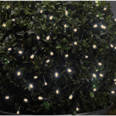 50 Warm White String Lights