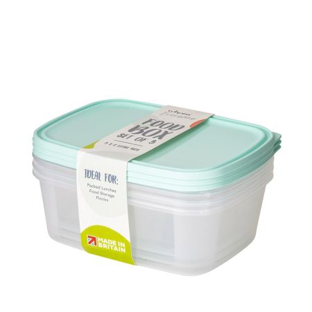 Everyday Set of 3 - 2L Food Boxes