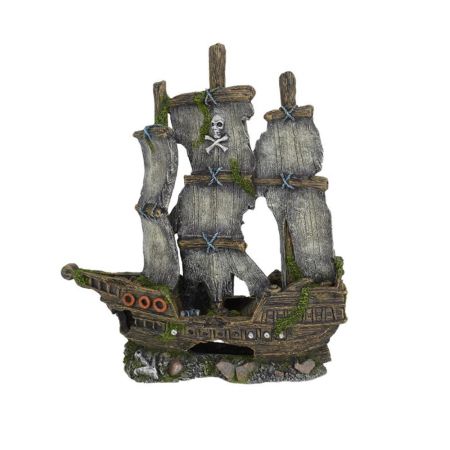 Pirate Sailing Shipwreck 