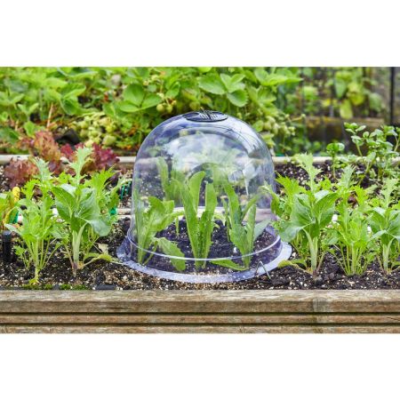 Bell Cloche, 3pk