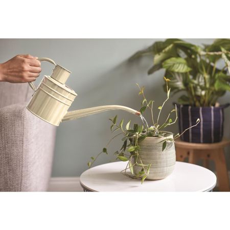 Home and Balcony Watering Can - Ivory