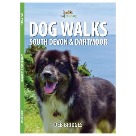 South Devon and Dartmoor dog walks