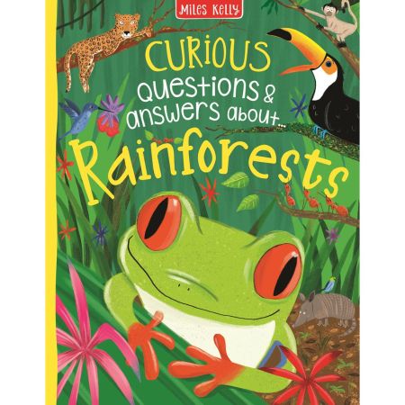 CURIOUS QUESTIONS RAINFORESTS