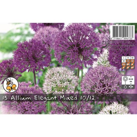 Allium Elegant Mixed