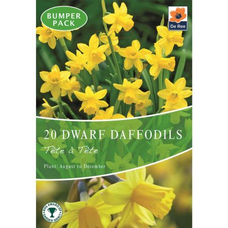 Dwarf Daffodils Tete A Tete