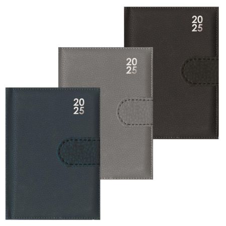 2025 Premium DAP Diary & Pen