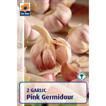 Garlic Pink Germidour