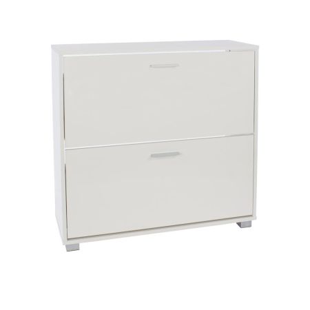 Contemporary 2 Door Shoe Cabinet 