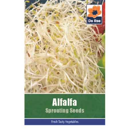 Alfalfa Sprouting Seeds