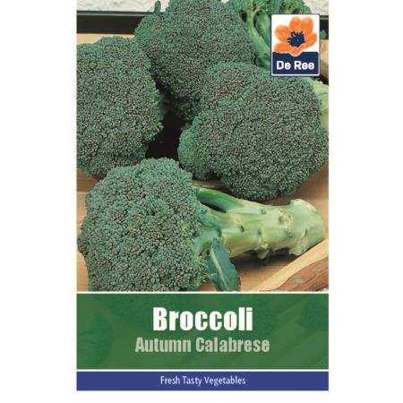 Broccoli Autumn Calabrese