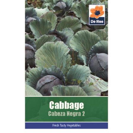 Cabbage Cabeza Negra 2 