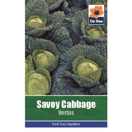 Cabbage Savoy Vertus