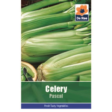 Celery Pascal