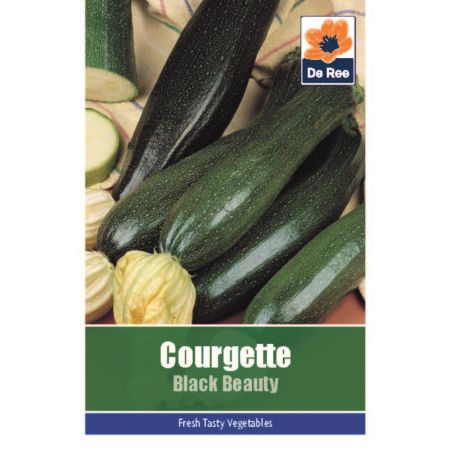 Courgette Black Beauty