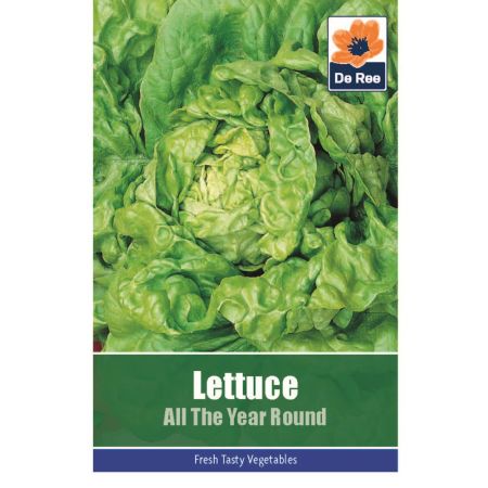 Lettuce All Year Round