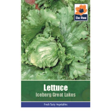 Lettuce Iceberg Great Lakes  