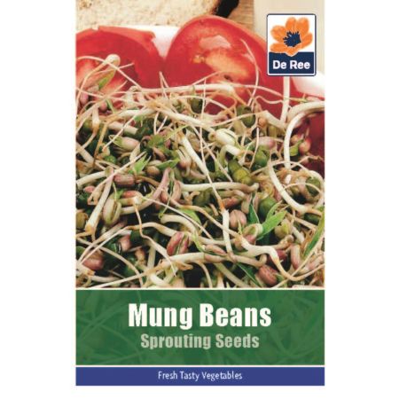 Mung Beans Sprouting Seeds