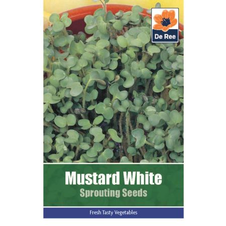 Mustard White Sprouting Seeds