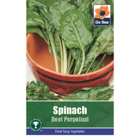 Spinach Beet Perpetual