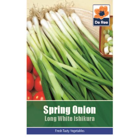 Spring Onion Long White Ishikura