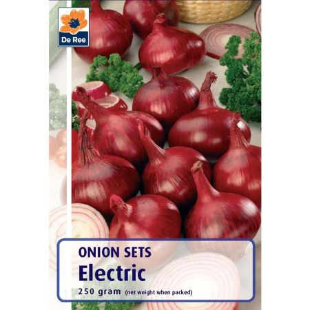 Electric Onions