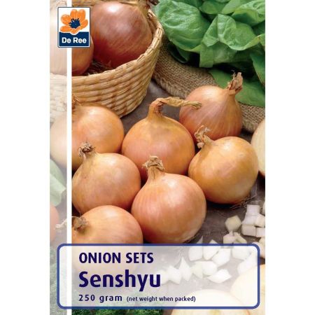 Senshyu Onions