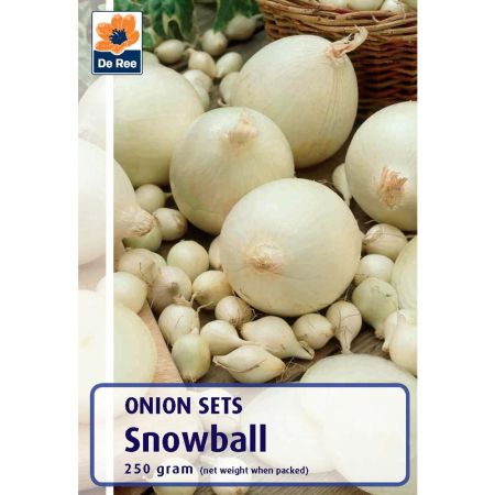 Snowball Onions